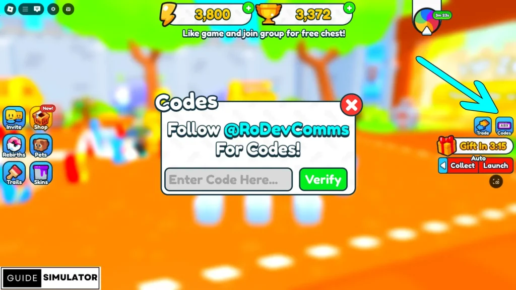 Codes for slingshot race simulator